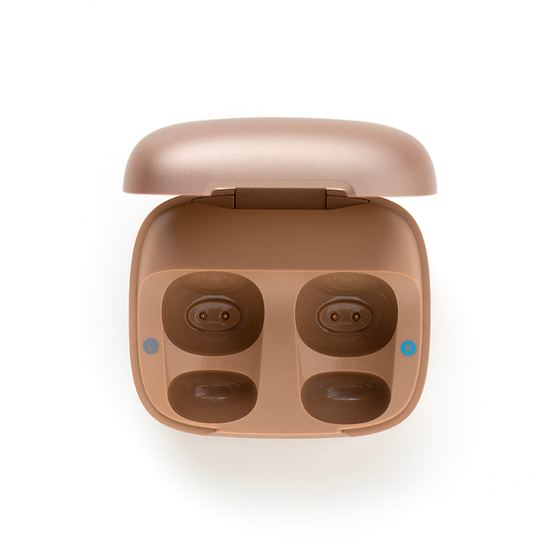 soundcore C40i Ladecase