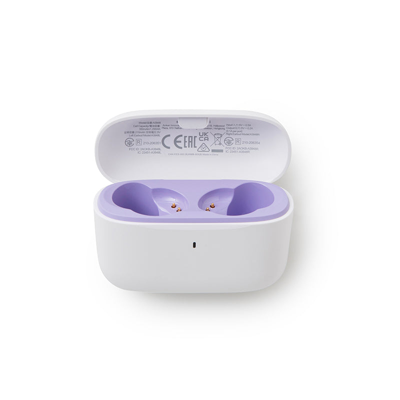 soundcore A20i Ladecase