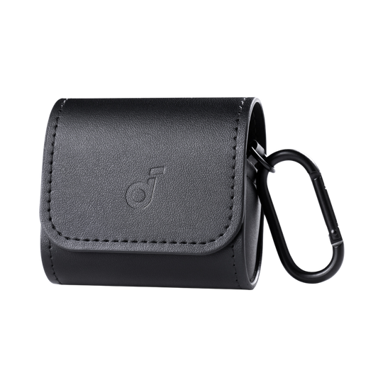 soundcore Earbuds Reise-Etui