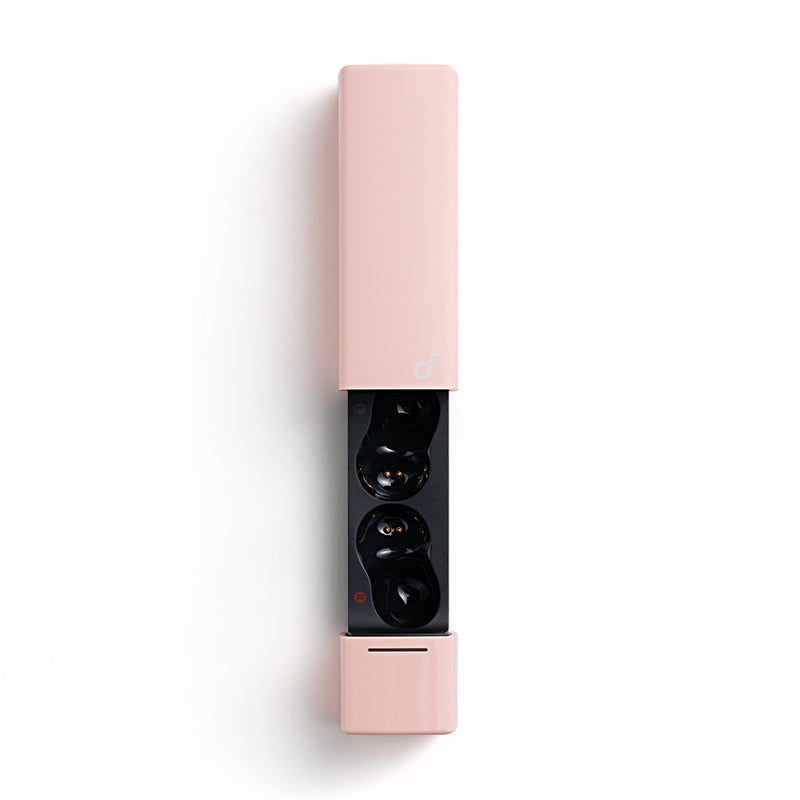 soundcore A30i Ladecase