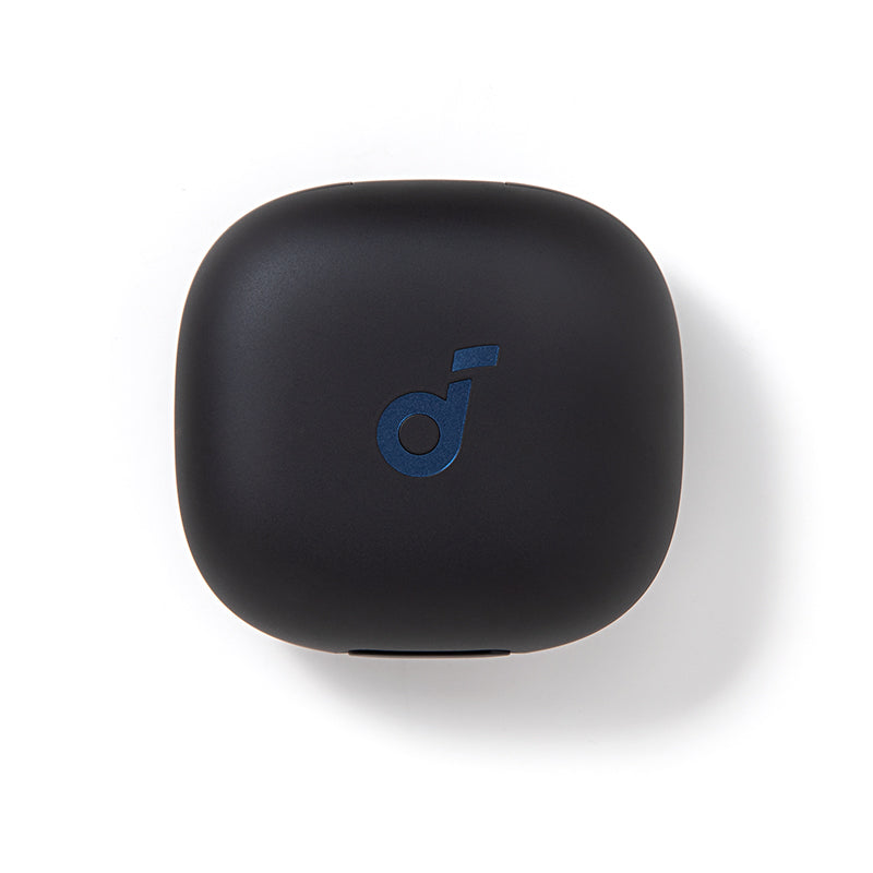 soundcore Sport X20 Ladecase