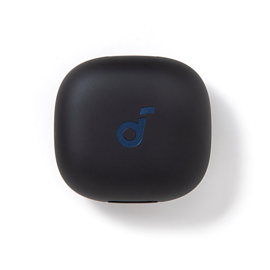 soundcore Sport X20 Ladecase