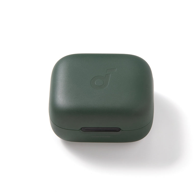 soundcore P30i Ladecase