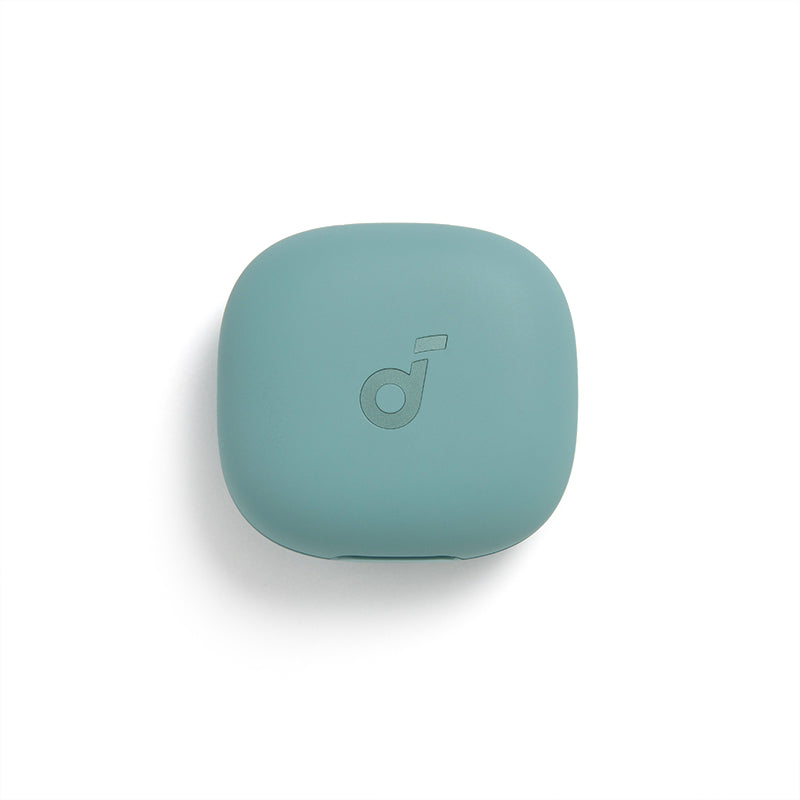 soundcore Sport X20 Ladecase