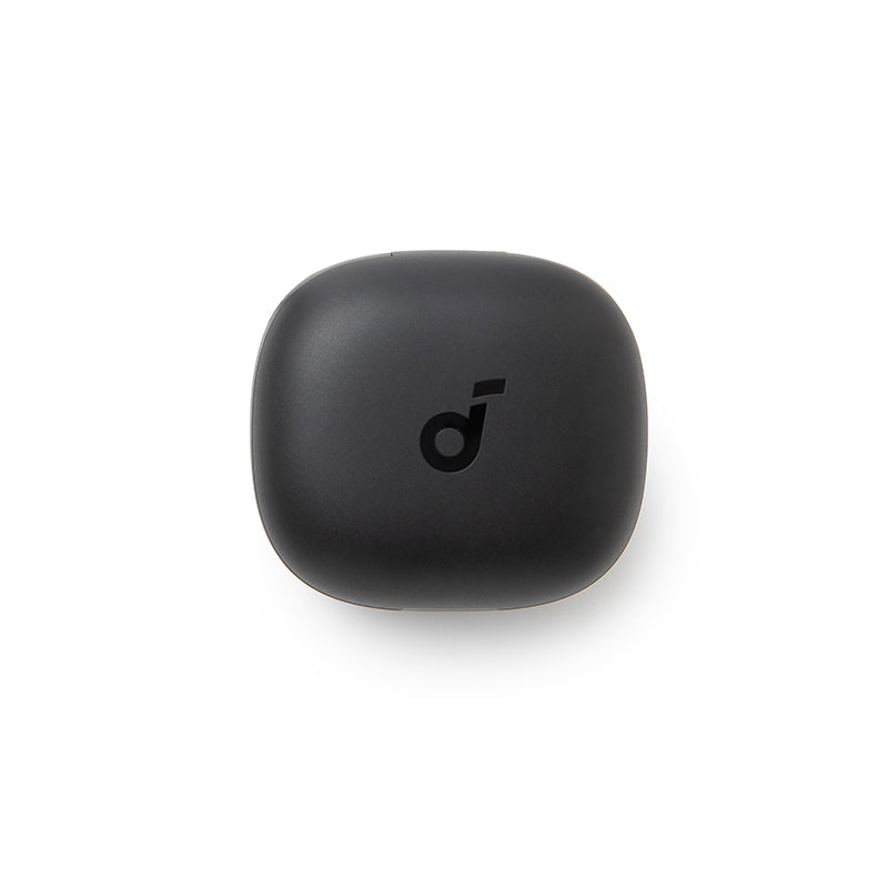 soundcore P20i Ladecase