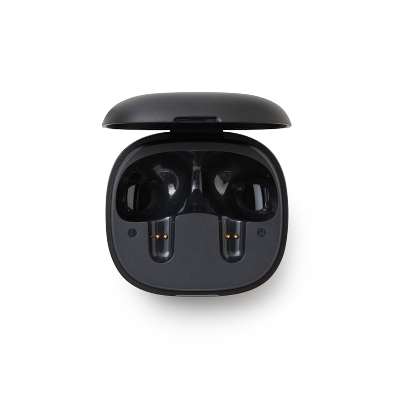 soundcore P20i Ladecase