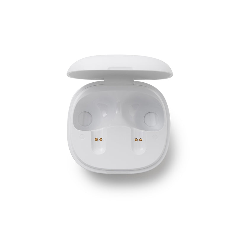 soundcore P20i Ladecase