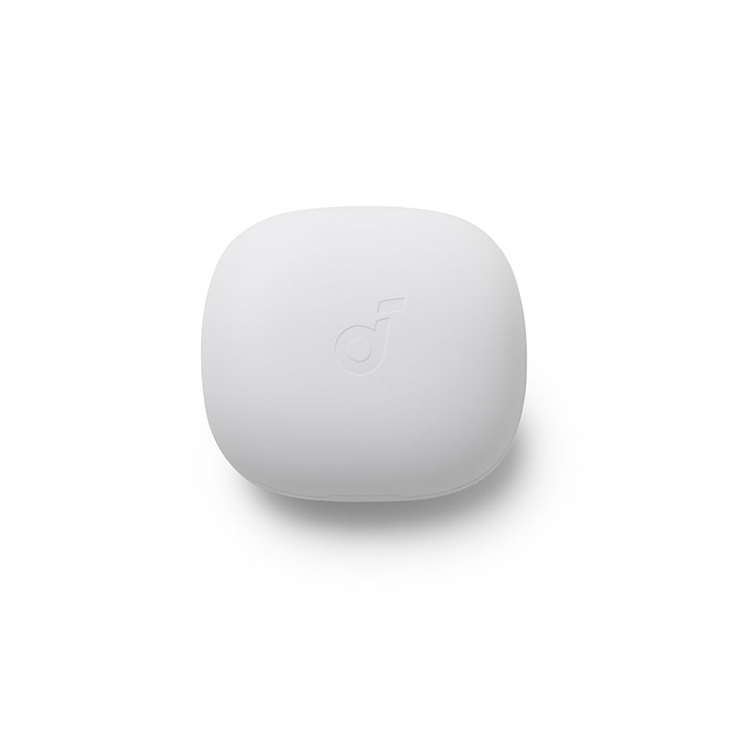 soundcore P20i Ladecase