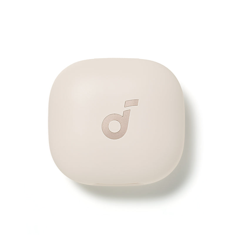 soundcore P40i Ladecase