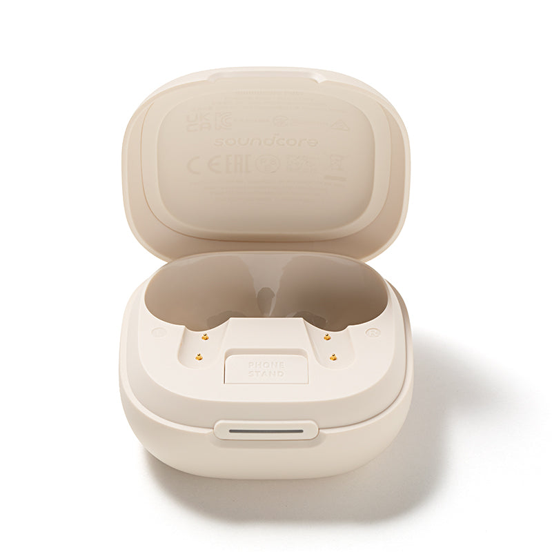 soundcore P40i Ladecase