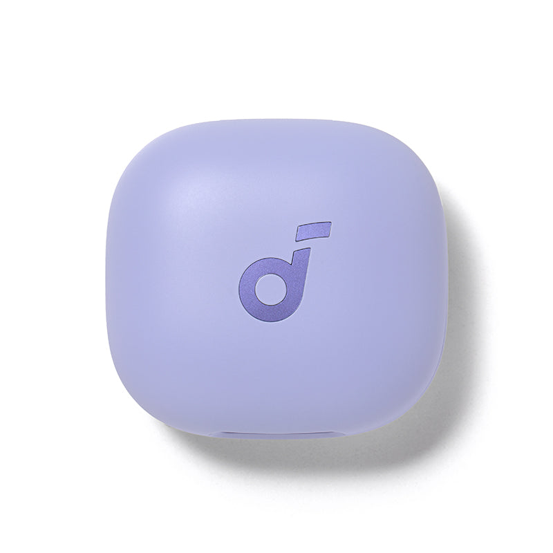 soundcore P40i Ladecase