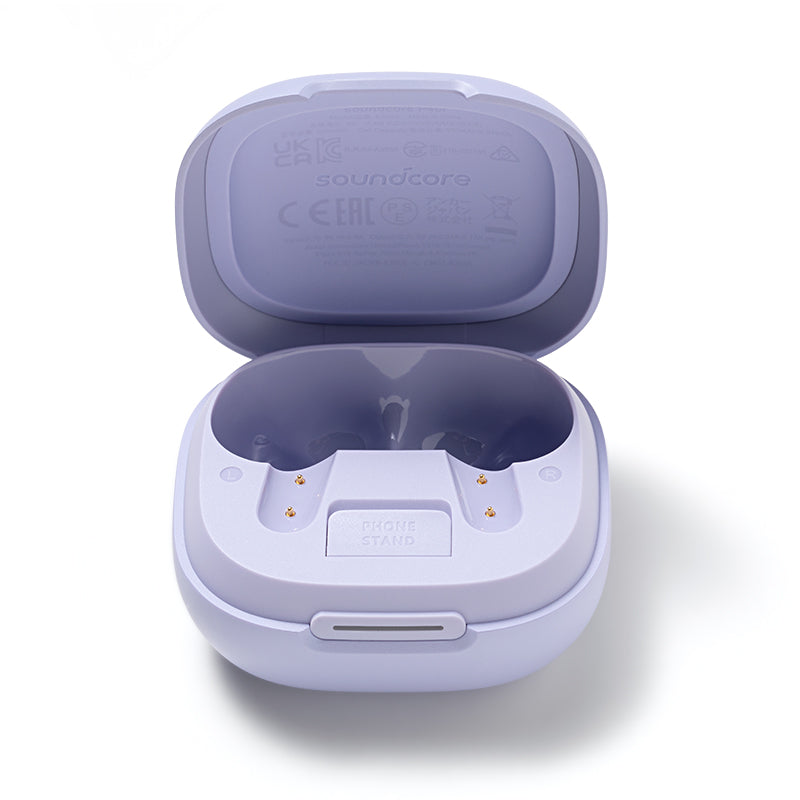 soundcore P40i Ladecase