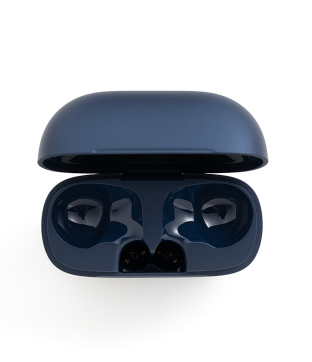 soundcore P42i Ladecase