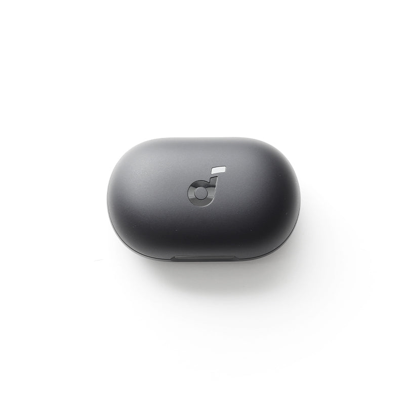 soundcore Space A40 Ladecase  - Schwarz
