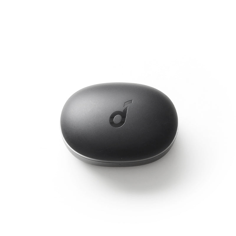 soundcore P2 Mini Ladecase  - Schwarz