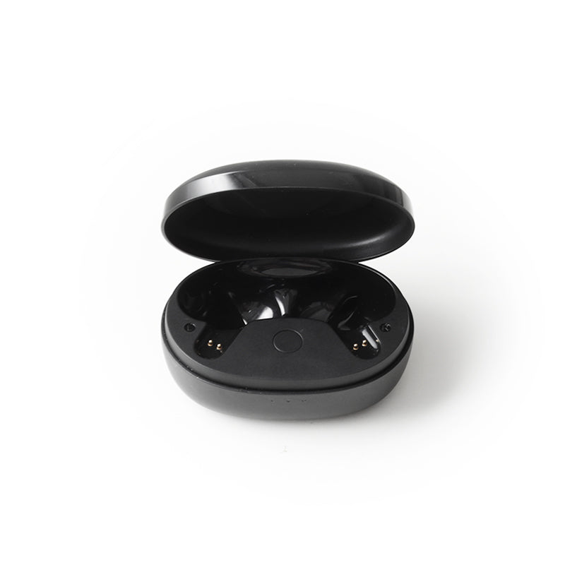 soundcore P2 Mini Ladecase  - Schwarz